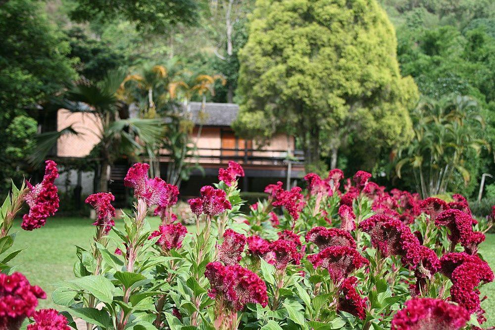 Phu Ing Fah Resort Pong Yaeng Екстер'єр фото
